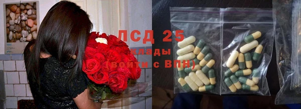 амф Магас