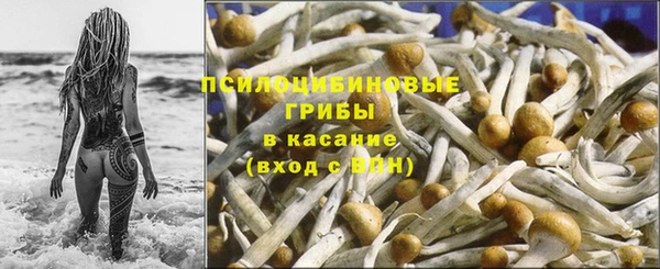 spice Магадан